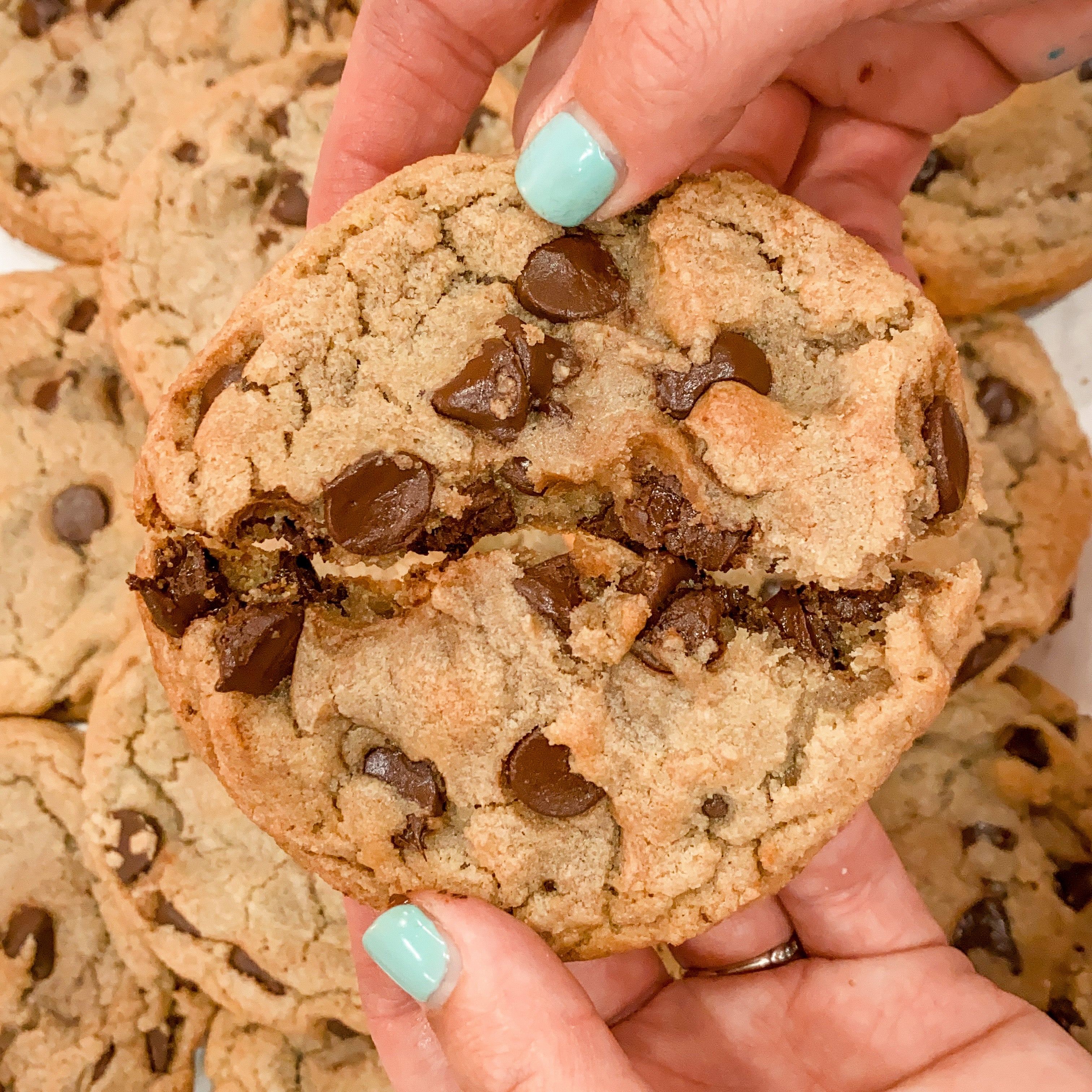 Chocolate Chip Cookies